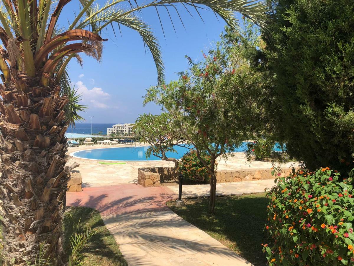 Kings Palace - Fabulous Pool-Side 2 Bed Apartment Paphos Eksteriør billede