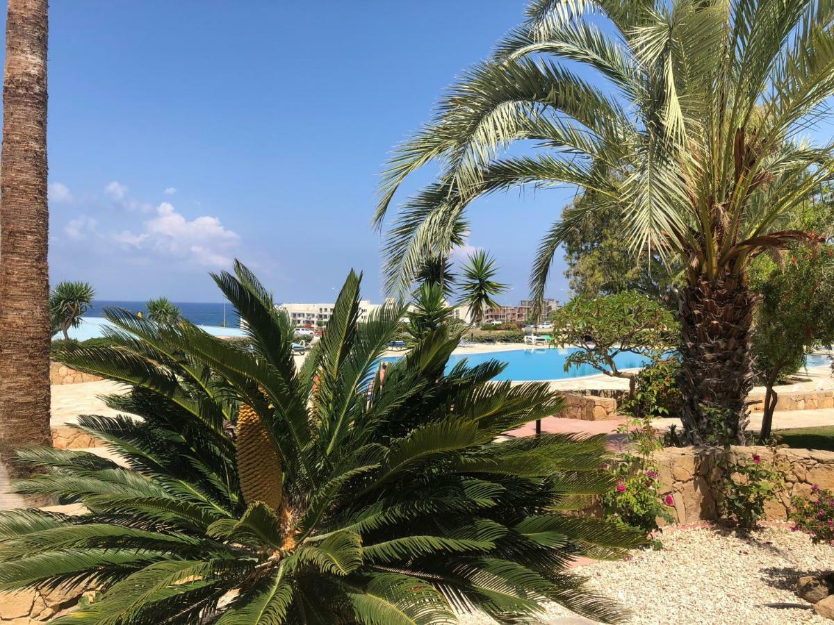 Kings Palace - Fabulous Pool-Side 2 Bed Apartment Paphos Eksteriør billede